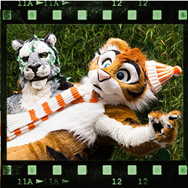 Eurofurence 2015 fursuit photoshoot. Preview picture of DeepDragon, Lee Taiger